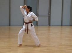 Image result for Karate Heian Shodan