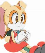 Image result for Cream the Rabbit Sonic X