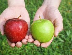 Image result for Comparing Others Apple in a Mirror