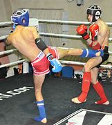 Image result for Muay Thai Martial Arts