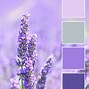 Image result for Shades of Blue Pink and Purple