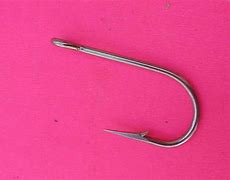Image result for Stainless Steel Hook and Eye