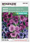 Image result for Malva Sylvestris Seed