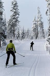 Image result for Nordic Skiing