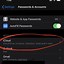 Image result for iPhone Settings Accounts