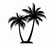 Image result for Coconut Tree Silhouette Clip Art