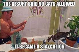 Image result for Staycation Funny