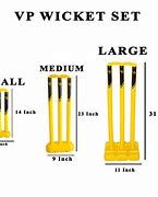 Image result for Cricket Wicket Markings