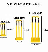 Image result for A Wicket for Cricket