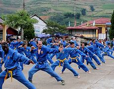 Image result for Vietnamese Martial Arts
