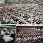 Image result for Foxconn Apple Factory