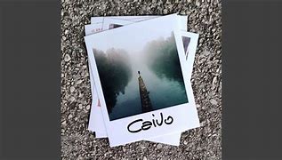 Image result for caivo