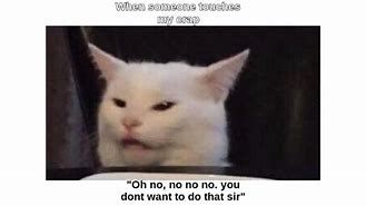 Image result for White Cat Meme Face