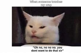 Image result for White Cat Meme Generator