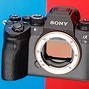 Image result for Sony A9ii Portraits