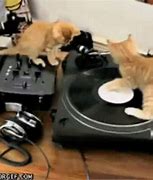 Image result for Pizza Cat DJ