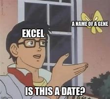 Image result for Excel Master Meme