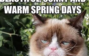 Image result for Funny Spring Is Coming