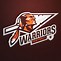 Image result for Warriors Basketball Logo