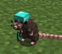 Image result for Minecraft Dancing Rat