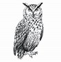 Image result for Owl iPhone 5C Silicone Cases