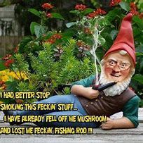 Image result for Explosive Garden Gnome Meme