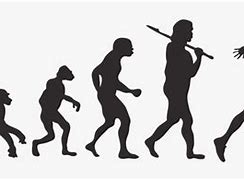 Image result for Evolution Clip Art