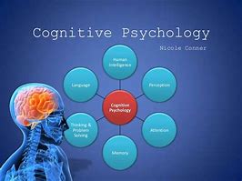 Image result for Human Cognition