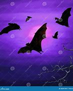 Image result for Flying Bat Hanging