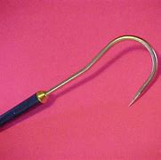 Image result for Stainless Steel Gaff Hooks