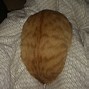 Image result for Cat Face Loaf