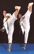 Image result for Martial Arts Kick