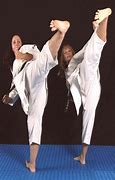 Image result for Karate Kick to the Face