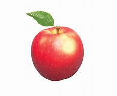 Image result for New Zealand Apple PNG