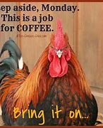 Image result for Friday Coffee Humor
