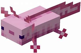 Image result for Invisible Minecraft Templates