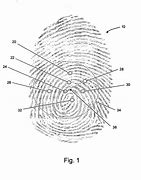 Image result for Patent Fingerprint