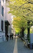 Image result for Yokohama Street