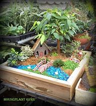 Image result for Bonsai Fairy Garden