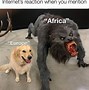 Image result for Afrika Meme