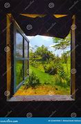 Image result for View Outside Window
