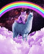 Image result for Llama Cat