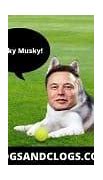 Image result for Musky Husky Meme