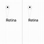 Image result for Retina Display Pizels