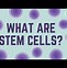 Image result for Diagram of Stem Cells