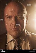 Image result for Who Plays Hank in Breaking Bad