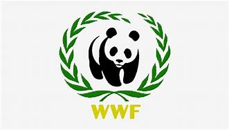 Image result for WWF Sticker Book