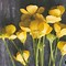 Image result for Warm Buttercup Yellow