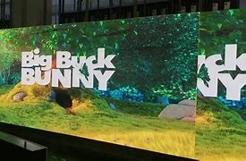 Image result for Nature Image LED Screen