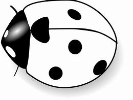 Image result for Small Clip Art Black and White